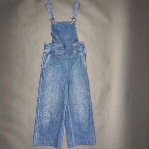 madewell denim carpenter overalls
